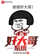 《好大哥系统》小说封面