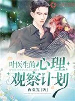 《叶医生的心理观察计划》小说封面