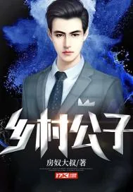 《乡村公子》小说封面