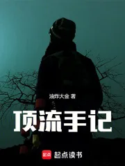 《顶流手记》小说封面
