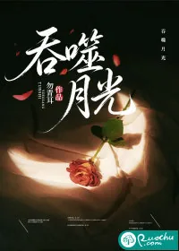 《吞噬月光》小说封面