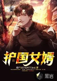 《护国女婿》小说封面