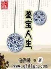 《鉴宝人生》小说封面