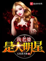 《我老婆是大明星》小说封面