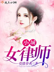《小城女律师》小说封面