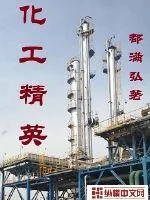 《化工精英》小说封面
