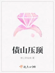 《债山压顶》小说封面