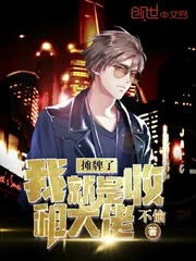 《摊牌了我就是收租大佬》小说封面
