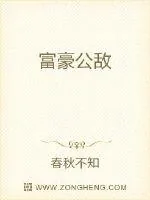 《富豪公敌》小说封面