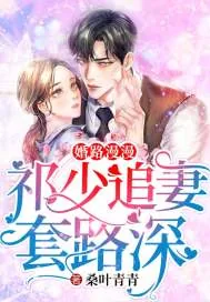 《婚路漫漫：祁少追妻套路深》小说封面