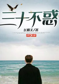 《三十不惑》小说封面