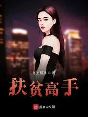 《扶贫高手》小说封面