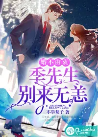 《婚不由衷：季先生别来无恙》小说封面