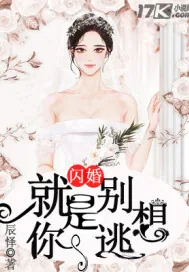 《闪婚：就是你别想逃》小说封面