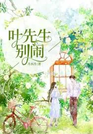 《叶先生别闹》小说封面