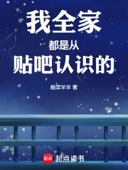 《我全家都是从贴吧认识的》小说封面