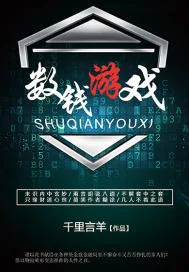 《数钱游戏》小说封面