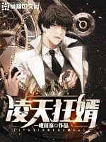 《凌天狂婿》小说封面