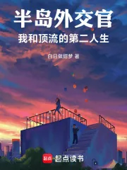 《半岛外交官：我和顶流的第二人生》小说封面