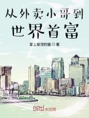 《从外卖小哥到世界首富》小说封面