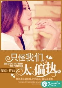《只怪我们太偏执》小说封面