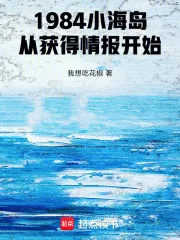 《1984小海岛，从获得情报开始》小说封面