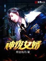 《神级女婿》小说封面