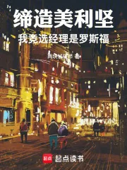 《缔造美利坚：我竞选经理是罗斯福》小说封面