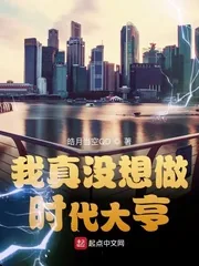 《我真没想做时代大亨》小说封面