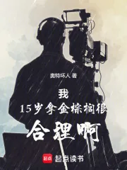 《我15岁拿金棕榈很合理啊》小说封面