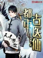 《叶不凡》小说封面