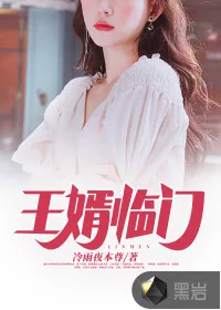 《王婿临门》小说封面