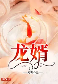 《龙婿》小说封面