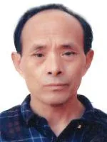 《陈汉生传奇》小说封面