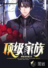 《顶级家族》小说封面