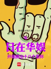 《华娱：从开局抛出十八个圣杯开始》小说封面