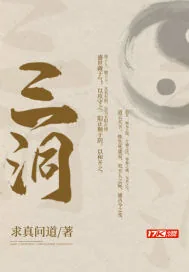 《三洞》小说封面