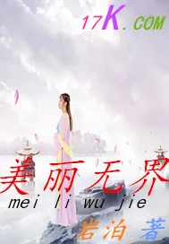 《美丽无界》小说封面