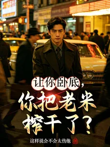 《让你卧底，你把老米榨干了？》小说封面