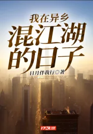 《我在异乡混江湖的日子》小说封面