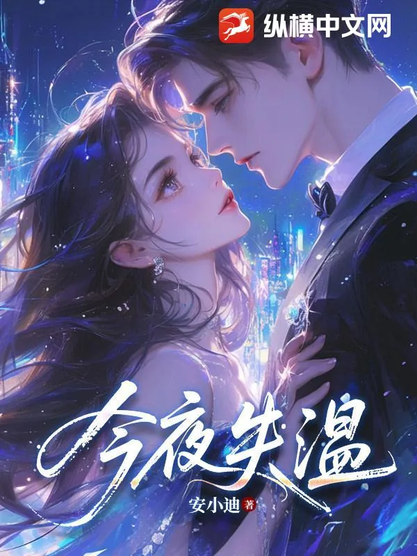 《今夜失温》小说封面