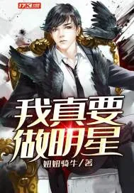 《我真要做明星》小说封面