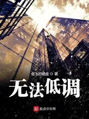 《无法低调》小说封面