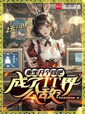 《重生开个网吧，成了IT界公敌？》小说封面