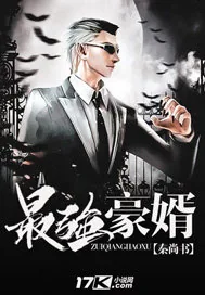 《最强豪婿》小说封面