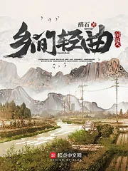 《乡间轻曲》小说封面