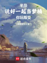 《半岛：说好一起当梦楠，你玩叛变》小说封面