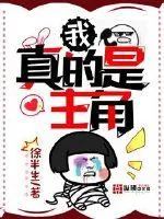 《我真的是主角》小说封面