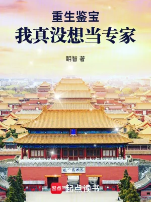 《重生鉴宝：我真没想当专家》小说封面