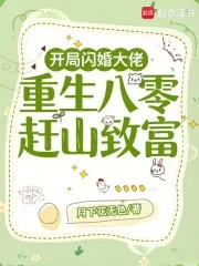《开局闪婚大佬，重生八零赶山致富》小说封面